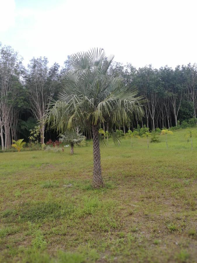 Palm Garden House Leilighet Ko Lanta Eksteriør bilde