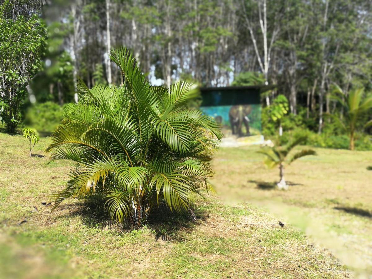 Palm Garden House Leilighet Ko Lanta Eksteriør bilde