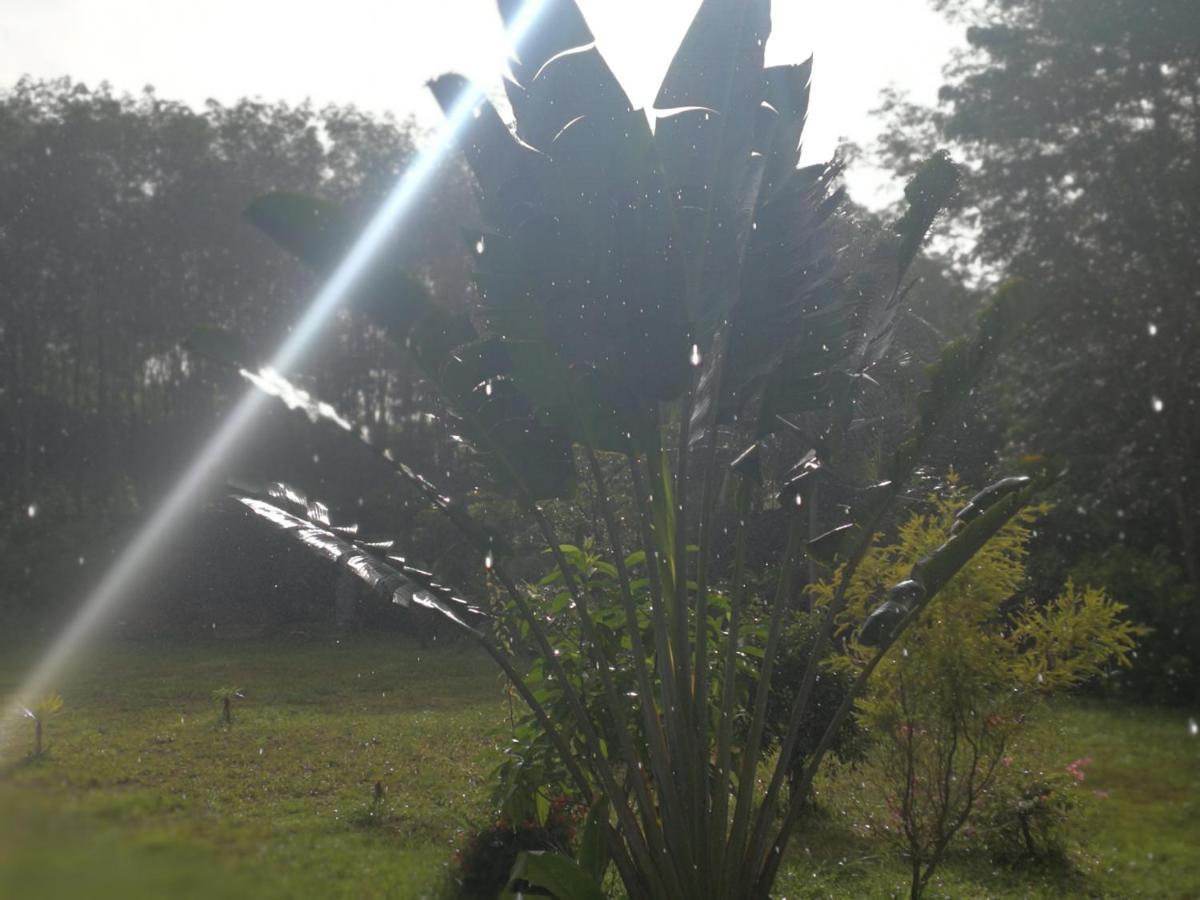 Palm Garden House Leilighet Ko Lanta Eksteriør bilde